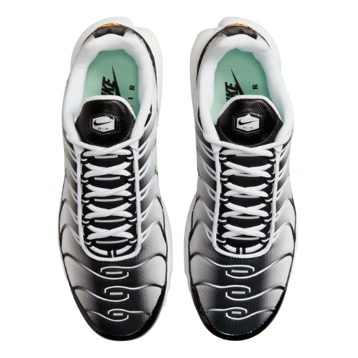 Nike Air Max Plus TN Fresh Mint Men's