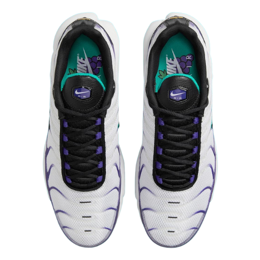 Nike Air Max Plus TN Grape Men's