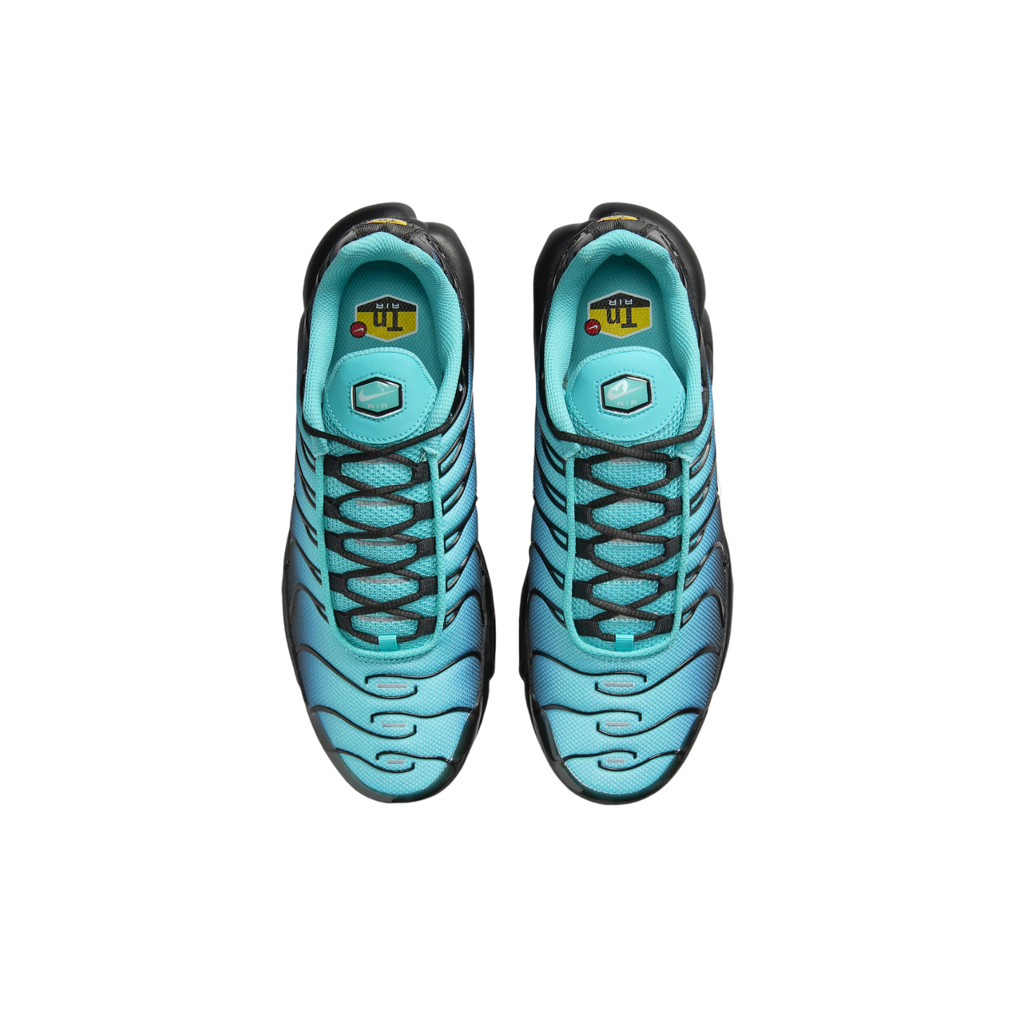 Nike Air Max Plus TN Black Aqua Gradient Caribbean Sea Men's