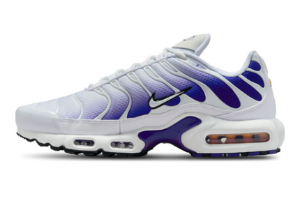 Nike Air Max Plus TN White Deep Night Men's