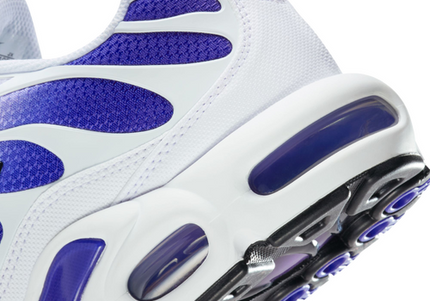 Nike Air Max Plus TN White Deep Night Men's