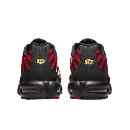 Nike Air Max Plus TN Bred Reflective Men's