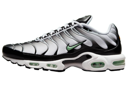 Nike Air Max Plus TN Fresh Mint Men's