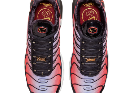 Nike Air Max Plus TN Sisterhood Women's