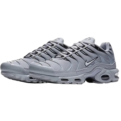 Nike Air Max Plus TN Wolf Grey Men's