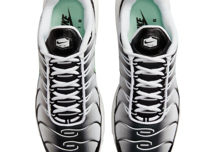 Nike Air Max Plus TN Fresh Mint Men's