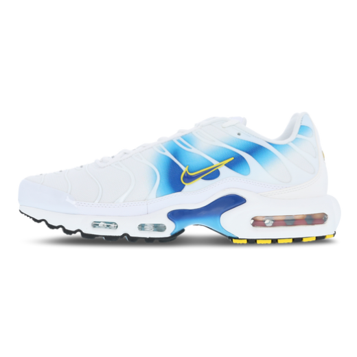 White and blue best sale tn