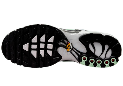 Nike Air Max Plus TN Fresh Mint Men's