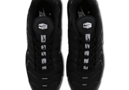 Nike Air Max Plus TN Black Metallic Tick Men's