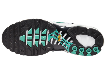 Nike Air Max Plus TN Tiffany White Hyper Jade Men's