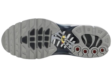 Nike Air Max Plus TN Wolf Grey Men's