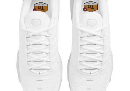 Nike Air Max Plus TN Triple White Platinum Women's