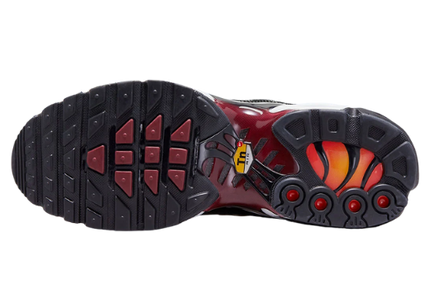 Nike Air Max Plus TN Sisterhood Women's