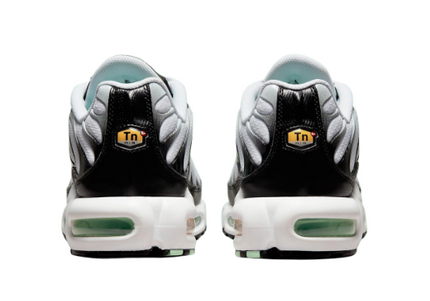 Nike Air Max Plus TN Fresh Mint Men's