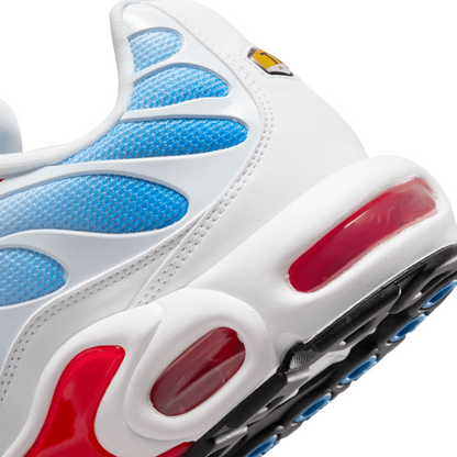 Nike Air Max Plus TN Tide White Red Blue Men's (2022)