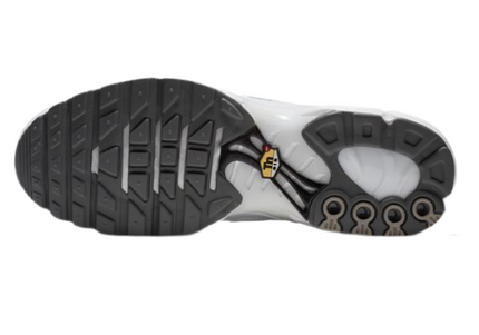 Nike Air Max Plus TN Triple White Casper Men's