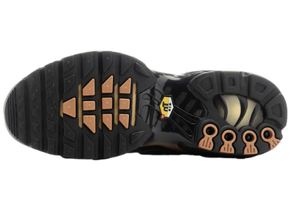 Nike Air Max Plus OG TN Scarab 2022 Men's